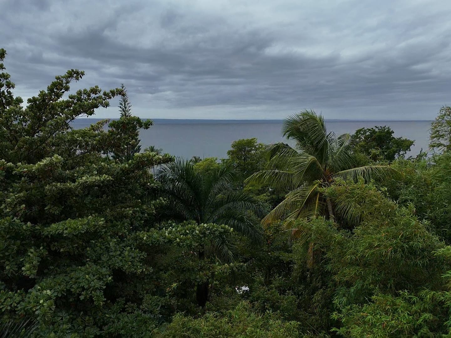 Caribbean ocean view from Samana property